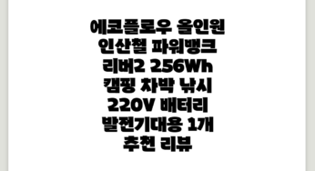 에코플로우 올인원 인산철 파워뱅크 리버2 256Wh 캠핑 차박 낚시 220V 배터리 발전기대용, 1개 추천 리뷰