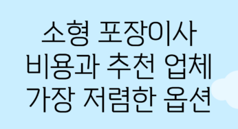 소형 포장이사 비용과 추천 업체: 가장 저렴한 옵션