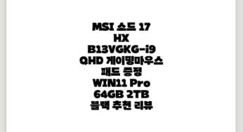 MSI 소드 17 HX B13VGKG-i9 QHD , WIN11 Pro, 64GB, 2TB, 블랙 추천 리뷰