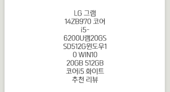 LG 그램 14ZB970 (코어i5-6200U/램20G/SSD512G/윈도우10), WIN10, 20GB, 512GB, 코어i5, 화이트 추천 리뷰