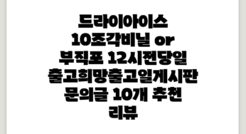 드라이아이스 10조각(비닐 or 부직포) (12시전당일출고*희망출고일게시판문의글), 10개 추천 리뷰