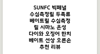 SUNFC 빅페널 수심측정릴 두족류 베이트릴 수심측정 릴 시마노 은성 다이와 오징어 한치 베이트 선상, 오른손 추천 리뷰