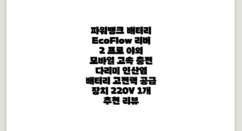 파워뱅크 배터리 EcoFlow 리버 2 프로 야외 모바일 고속 충전 다리미 인산염 배터리 고전력 공급 장치 220V, 1개 추천 리뷰