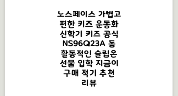 노스페이스 가볍고 편한 키즈 운동화 신학기 NS96Q23A 돔 활동적인 슬립온 선물 입학 지금이 구매 적기! 추천 리뷰