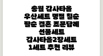 송월 감사타올 우산세트 명절 칠순 팔순 결혼 조문답례 선물세트, 감사타올2장세트, 1세트 추천 리뷰