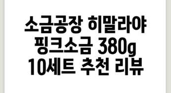 소금공장 히말라야 핑크소금, 380g, 10세트 추천 리뷰