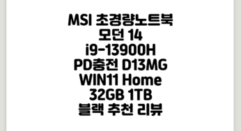 MSI 초경량노트북 모던 14 i9-13900H PD충전, D13MG, WIN11 Home, 32GB, 1TB, 블랙 추천 리뷰