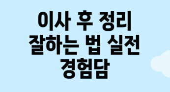 이사 후 정리 잘하는 법: 실전 경험담